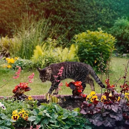 Loft Zulawy, Na Wylacznosc