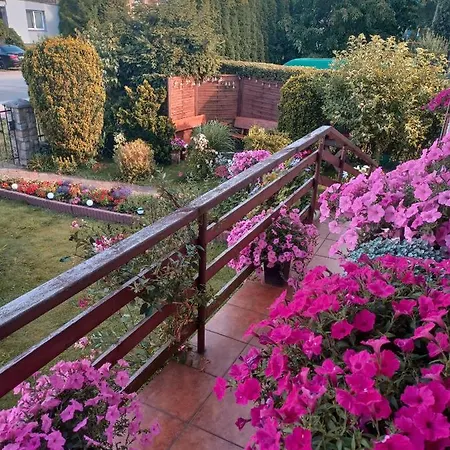 Апартаменты Loft Zulawy, Na Wylacznosc Новы-Двур-Гданьский