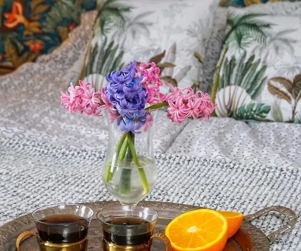 Loft Zulawy, Na Wylacznosc شقة Nowy Dwór Gdański