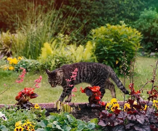 Loft Zulawy, Na Wylacznosc