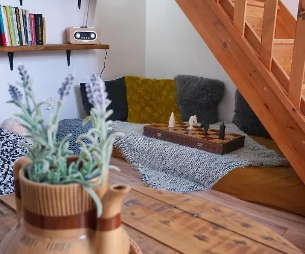 Loft Zulawy, Na Wylacznosc شقة