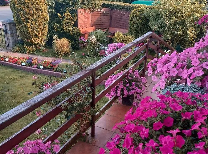 شقة Loft Zulawy, Na Wylacznosc Nowy Dwór Gdański